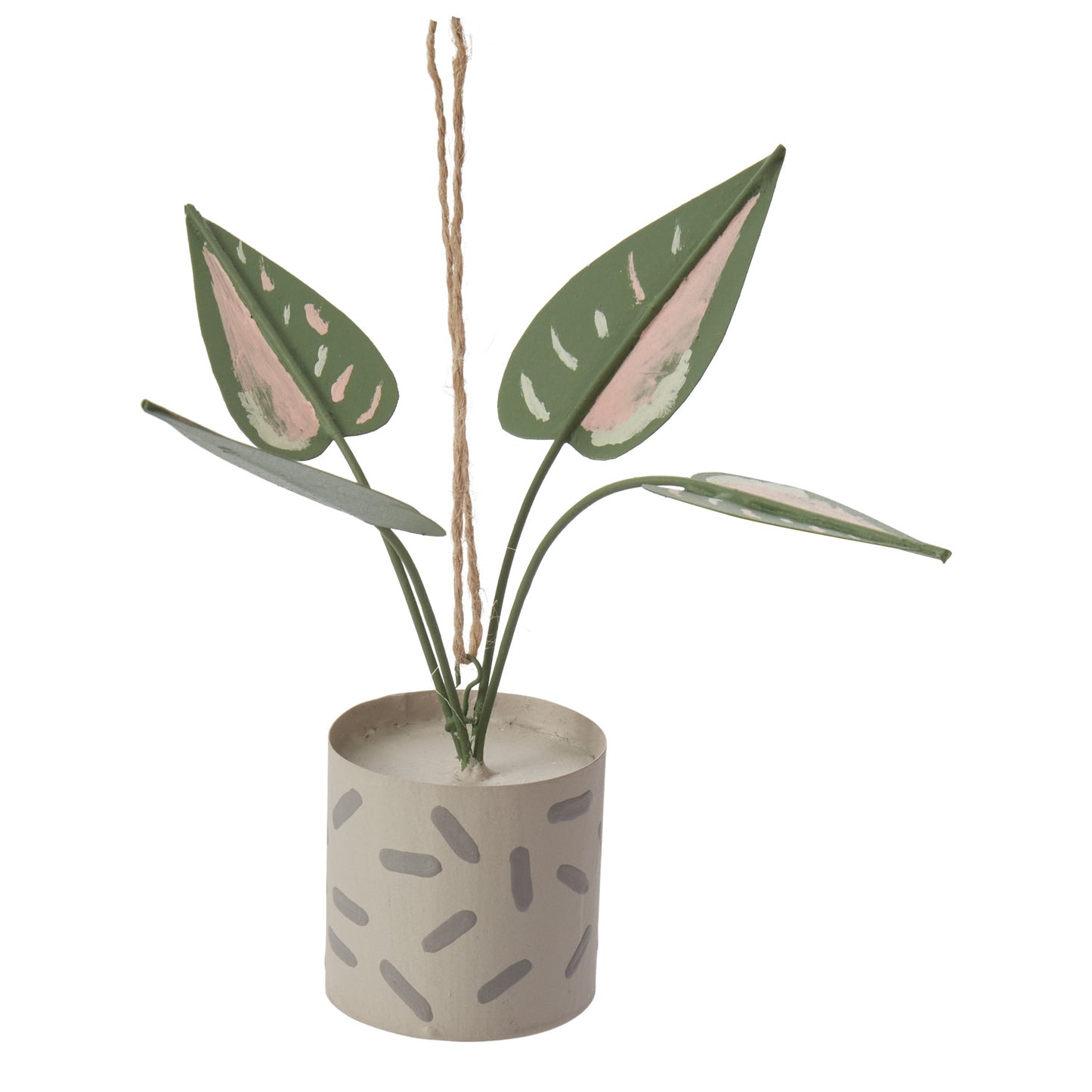 Prized Plant Ornament 6"x 5.25"