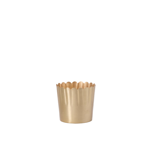 Delicata Pot 5.5"x 5"