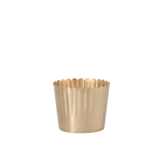 Delicata Pot 7.5"x 6"