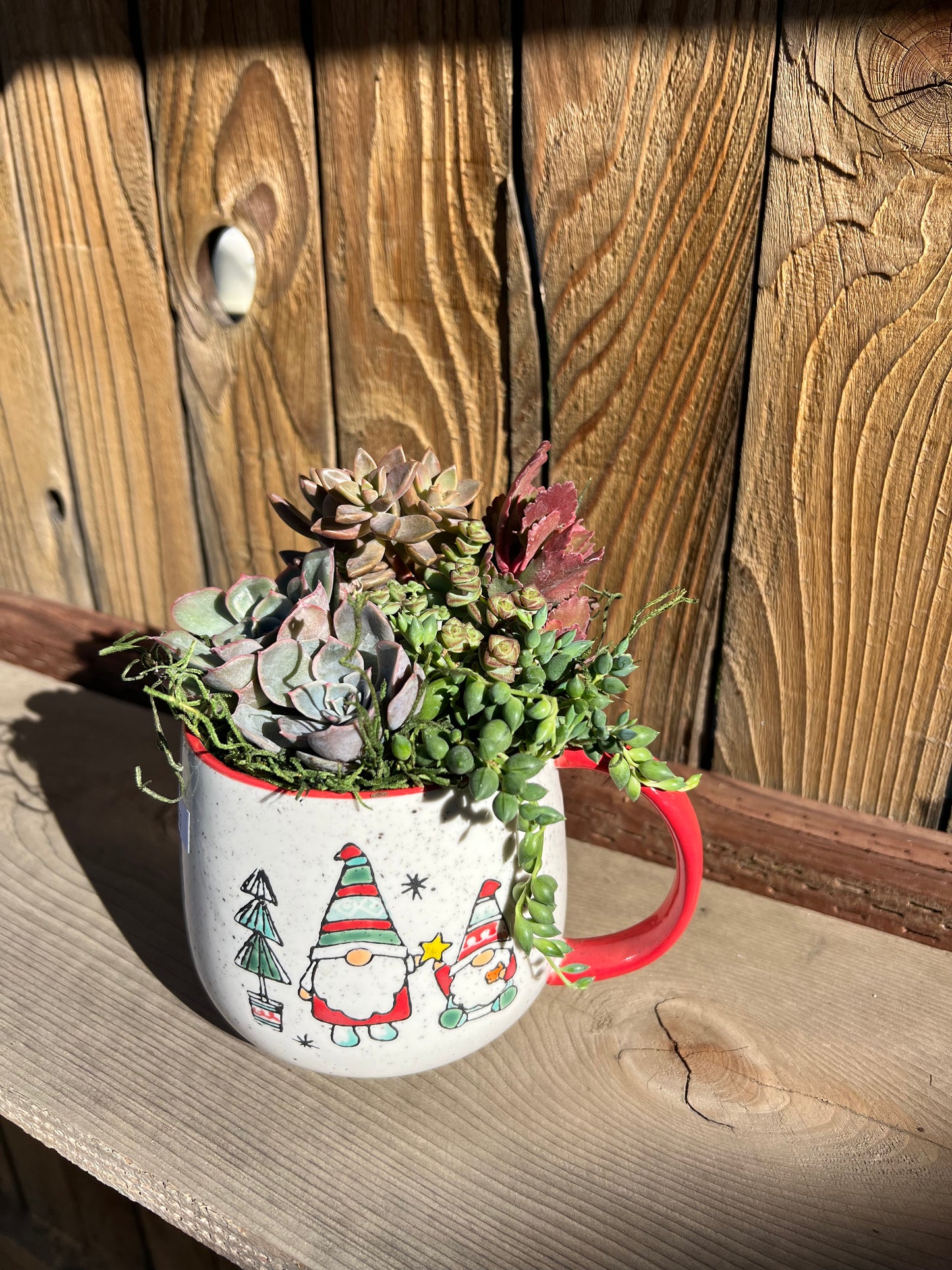 Premium Holiday Box