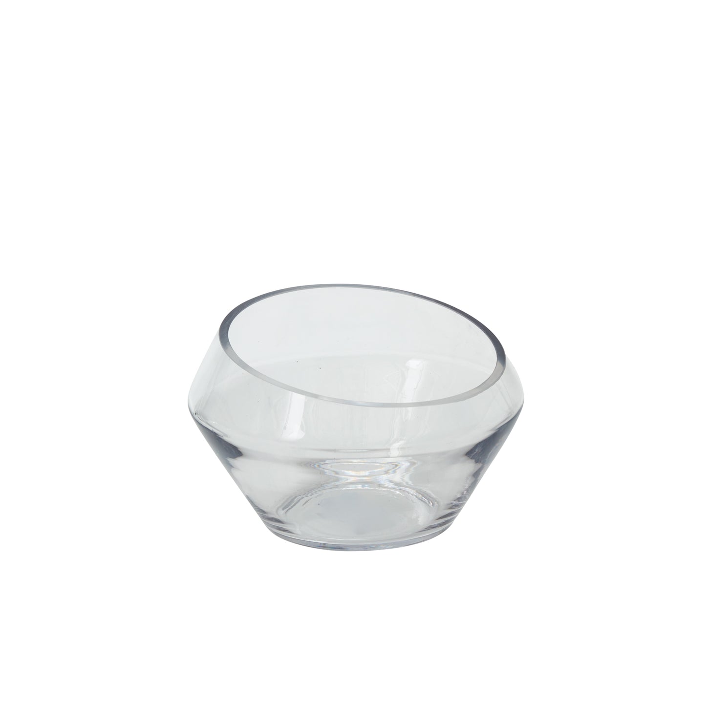 Dynamic Terrarium 9.25"x 6"