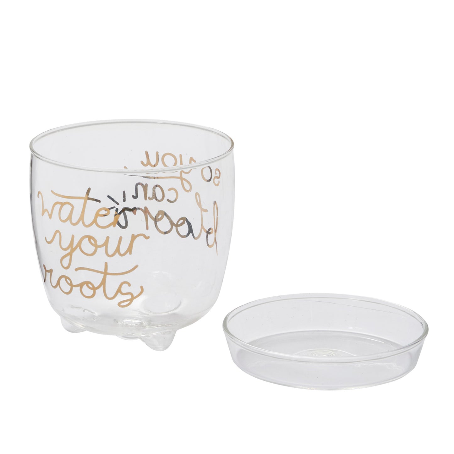 Water Your Roots Pot with Saucer 4.25"x 4.25"