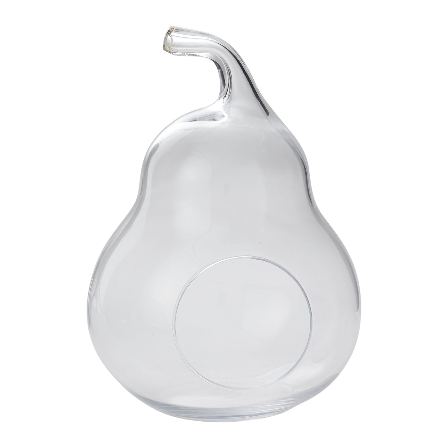 Pear Terrarium 7.25"x 10.25"
