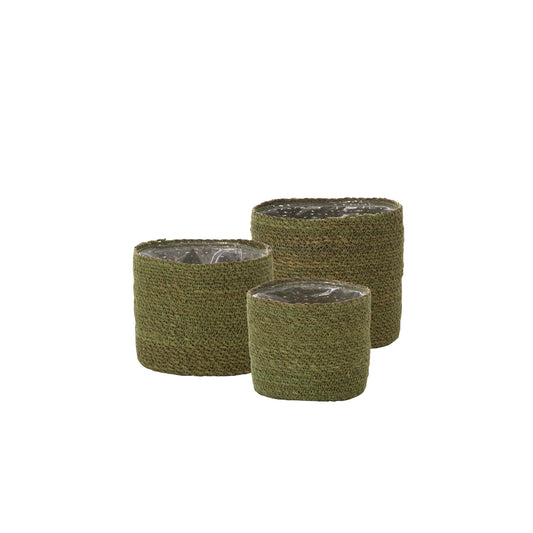Inkberry Basket Set of 3 - 6.5"/7"/8"