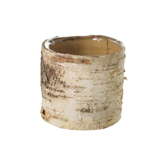 Birch Cylinder 4.75"x 4.75"