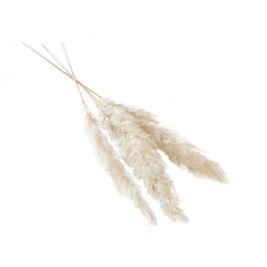 Pampas Grass Pack of 3 - 47"