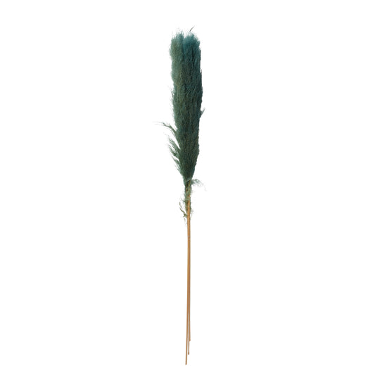 Pampas Grass Pack of 3 - 55"