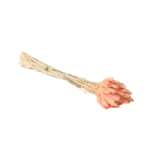 Lagurus Grass Pink 80 Pieces - 17.5"