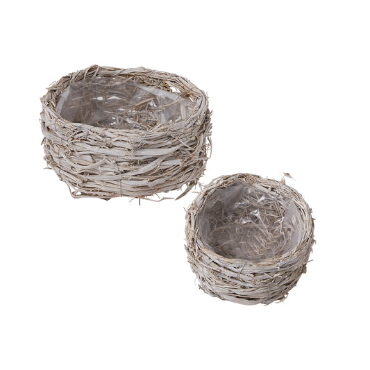 Spruce Planter Set of 2 - 5"/10"