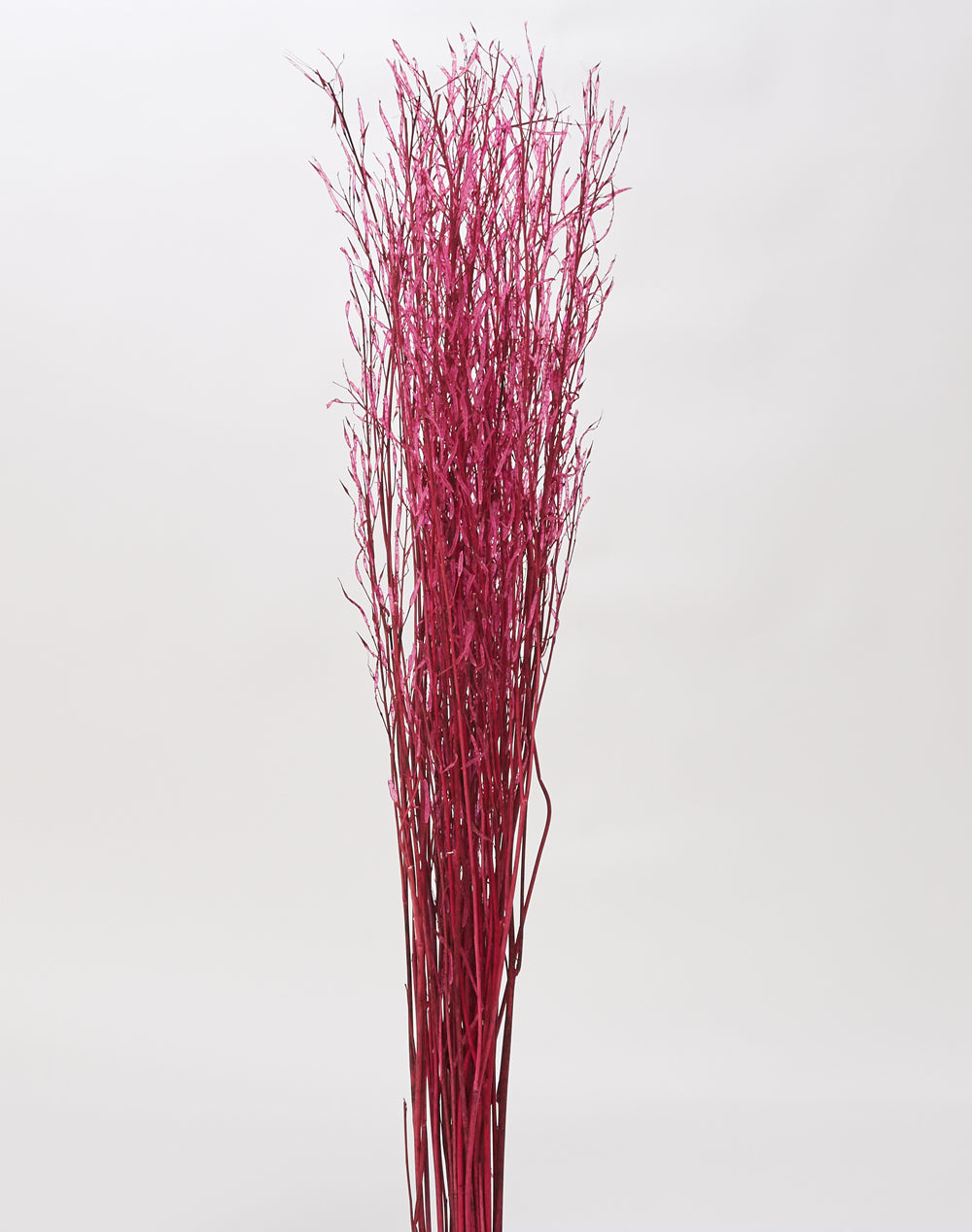 Saras Grass 30"
