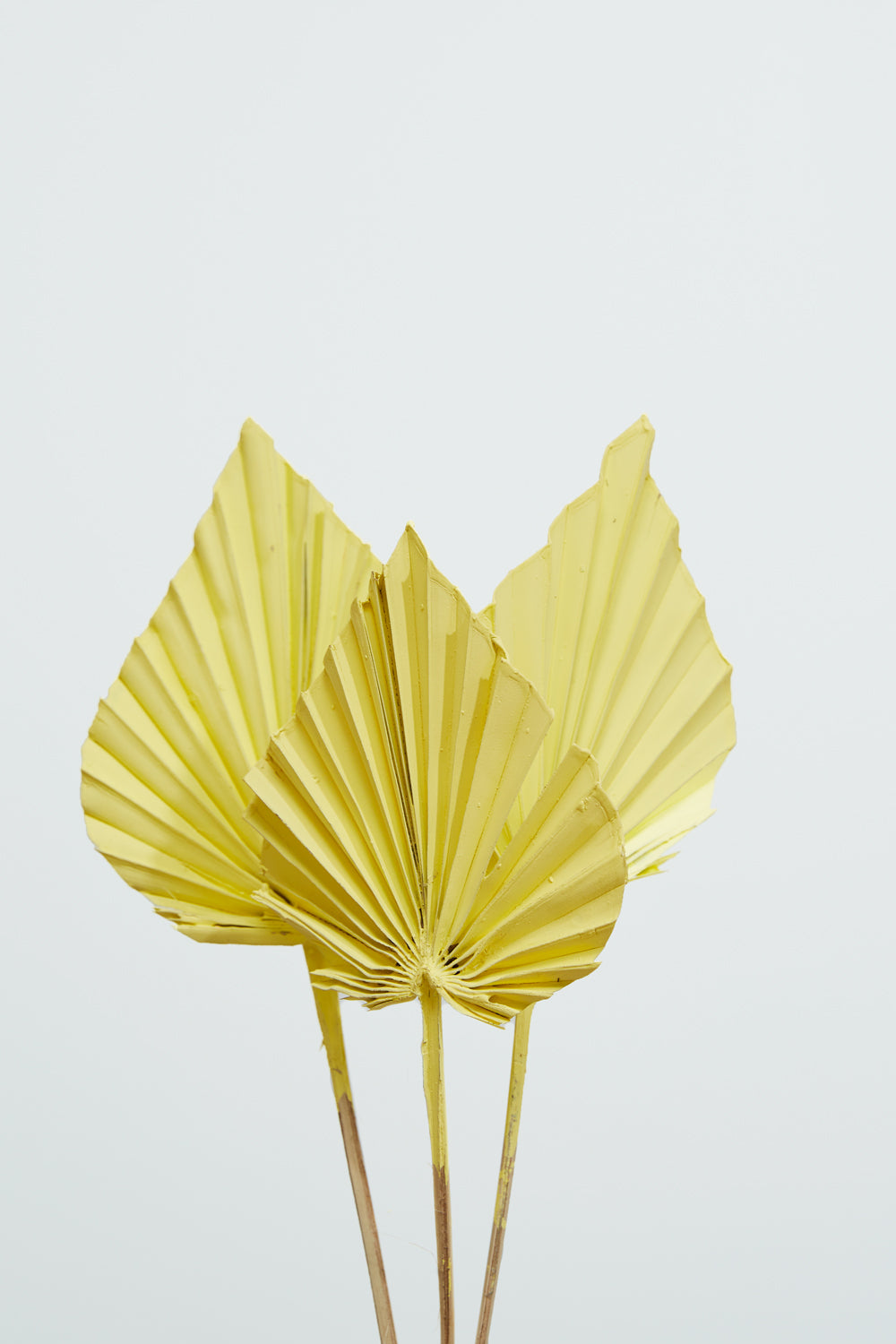 Painted Palm Spear 21.5"