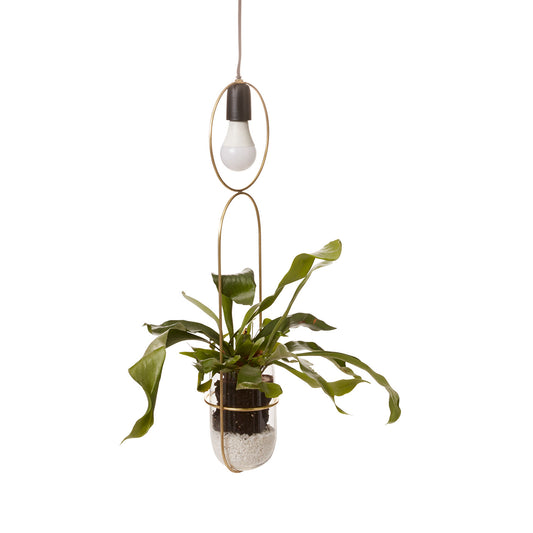 Kol Hanging Planter 7"x 5"x 25"
