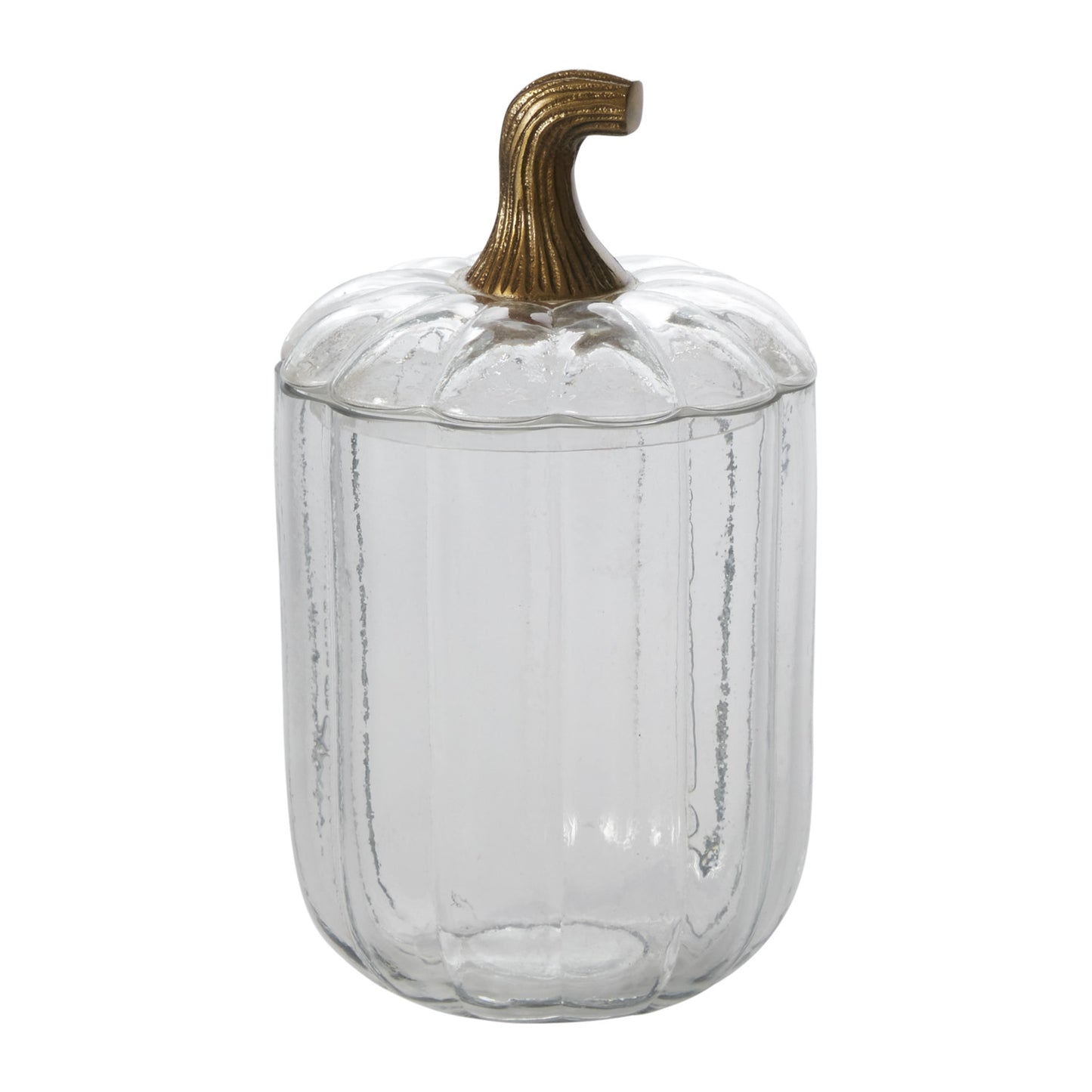 Translucent Pumpkin Terrarium 5"x 8.5"