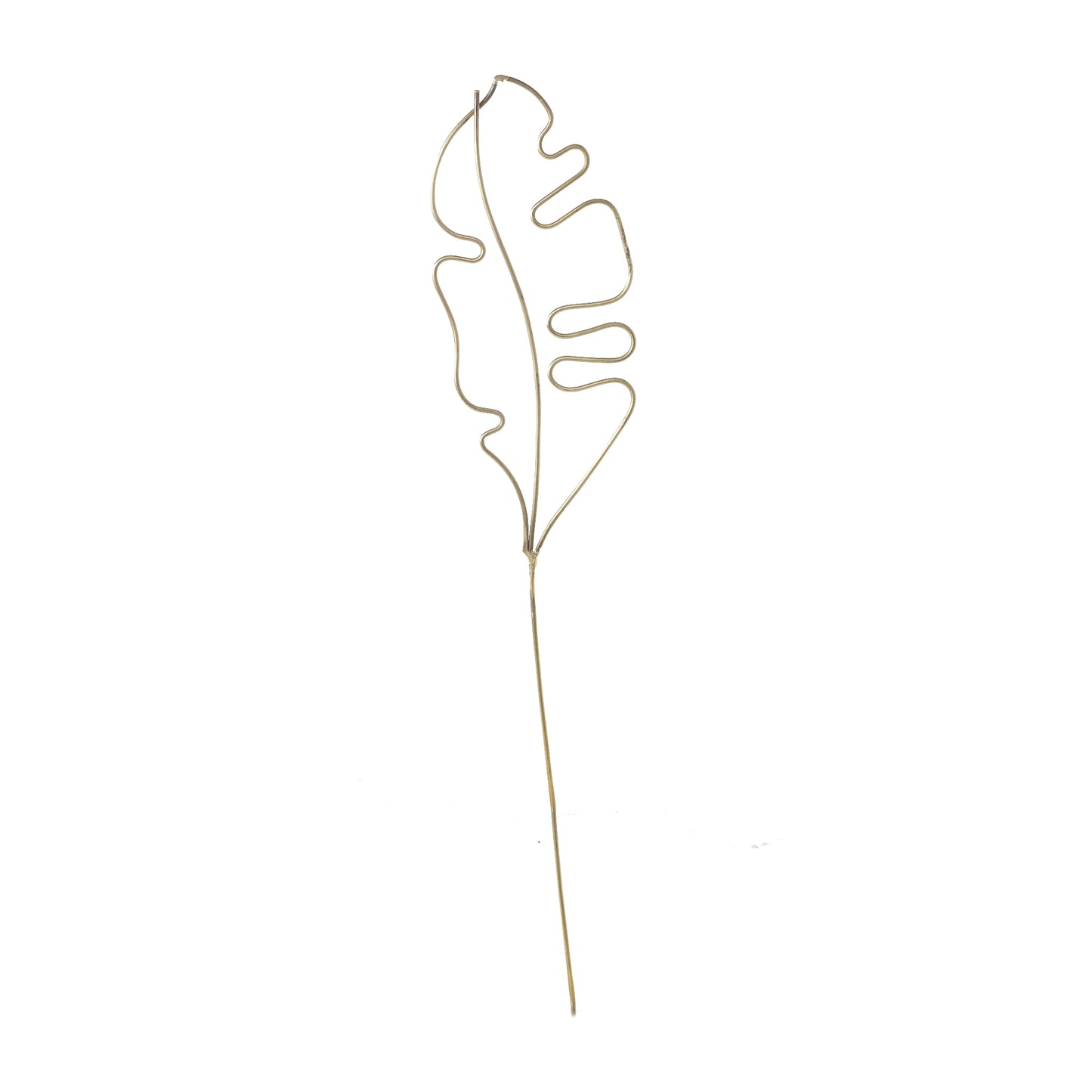 Eden Plant Stick 4.5"x 0.25"x 19"