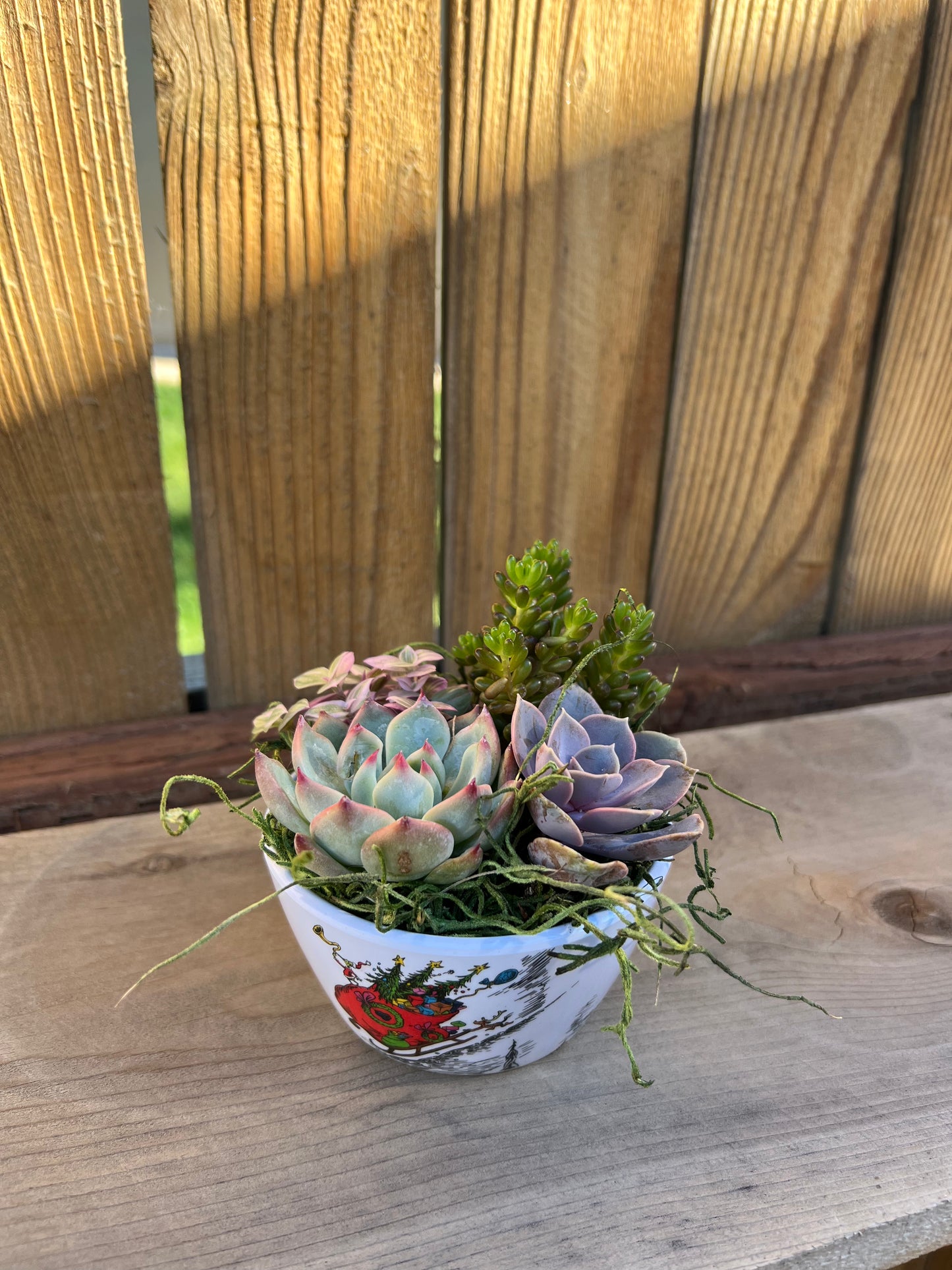 Holiday Box