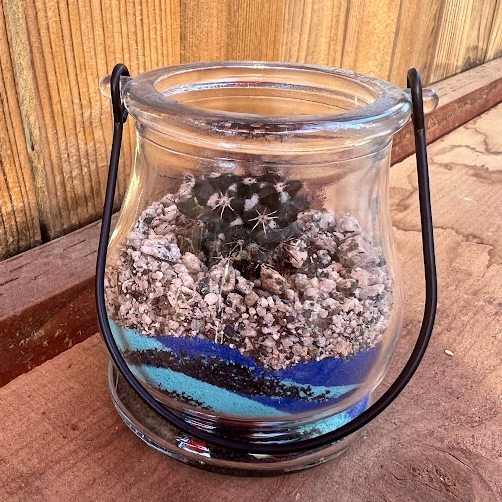 Colored sand jar terrarium