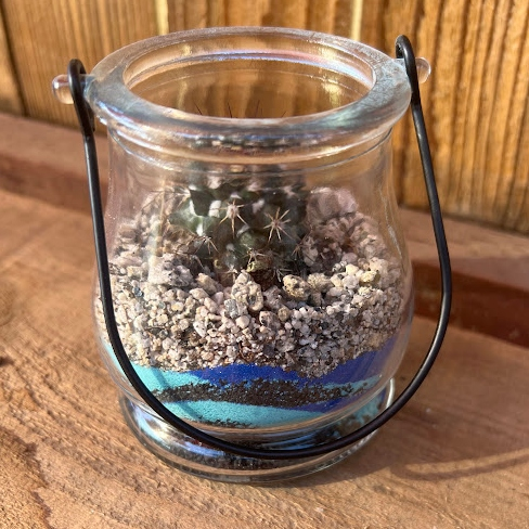 Colored sand jar terrarium