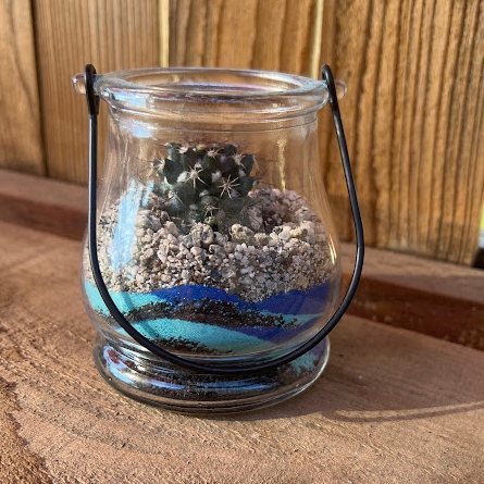 Colored sand jar terrarium
