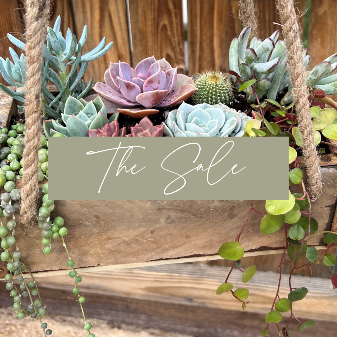 The Sale