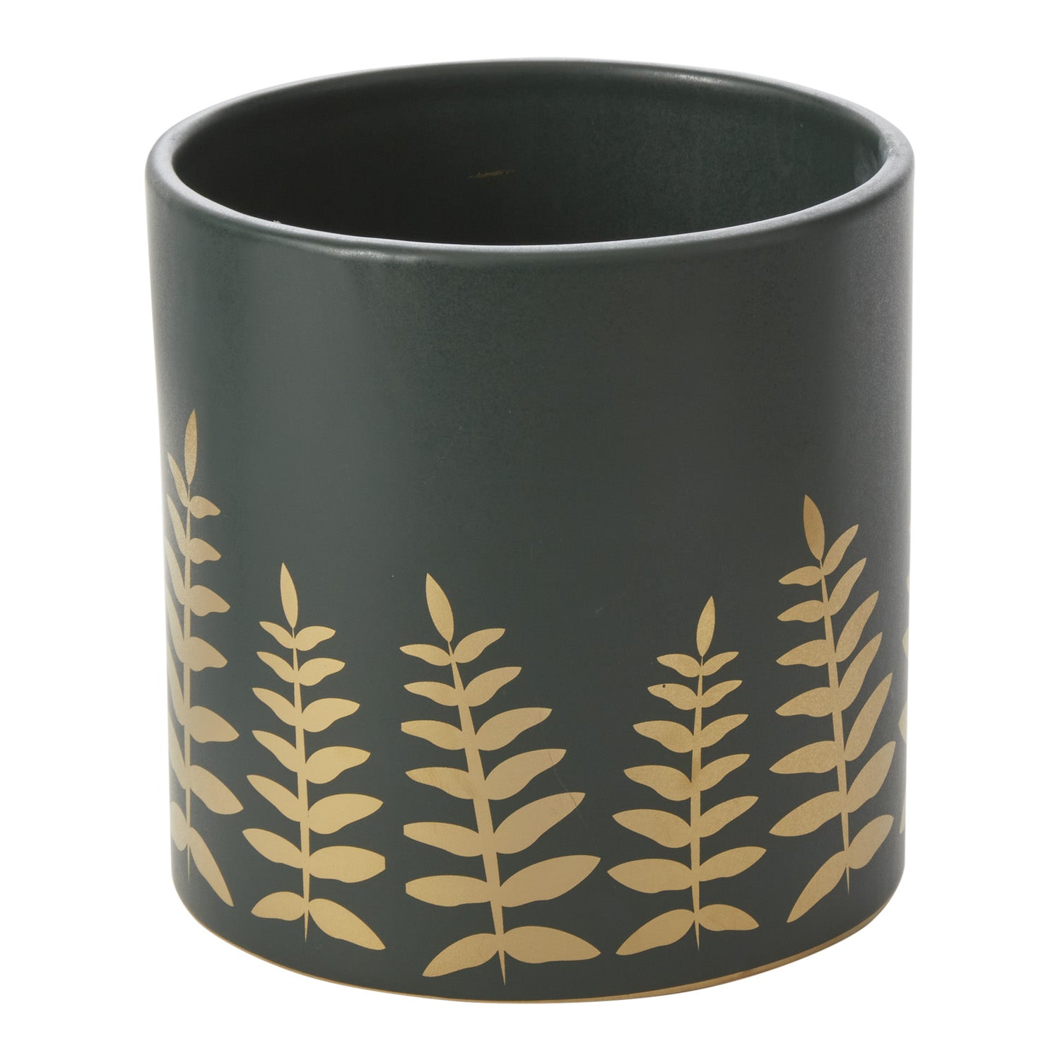 Midwinter Fern Pot 6.5"x 6.5"