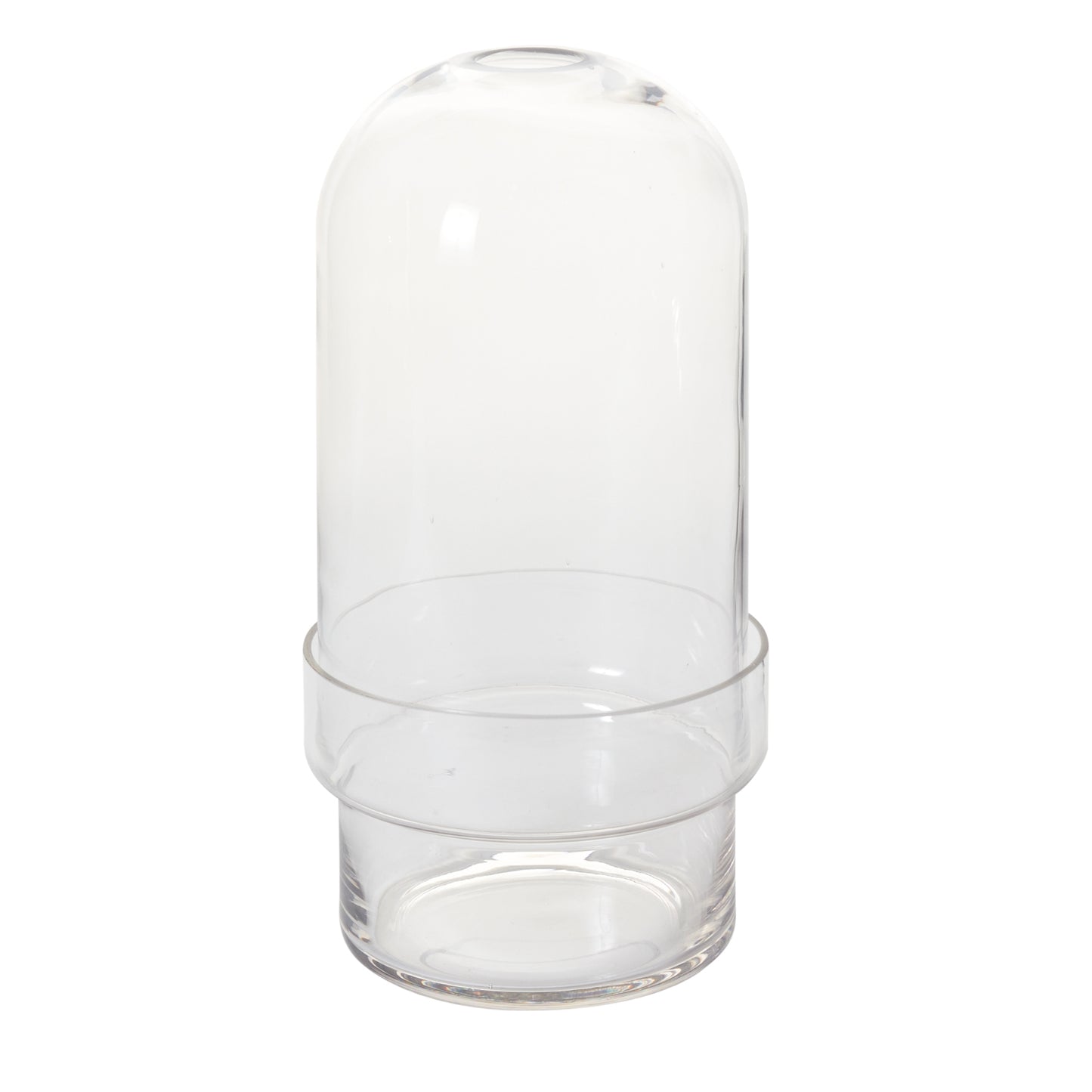 Griffith Terrarium 6.5"x 12.5"