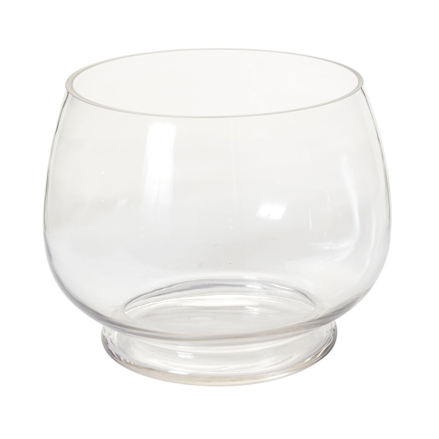 Discovery Terrarium 12"x 9.25"