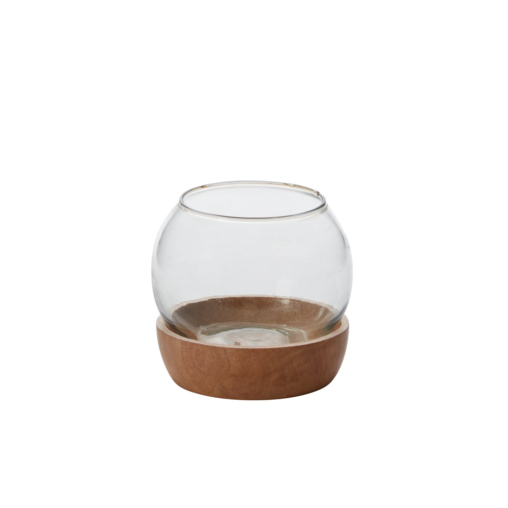 Full View Terrarium 4.75"x 4.75"