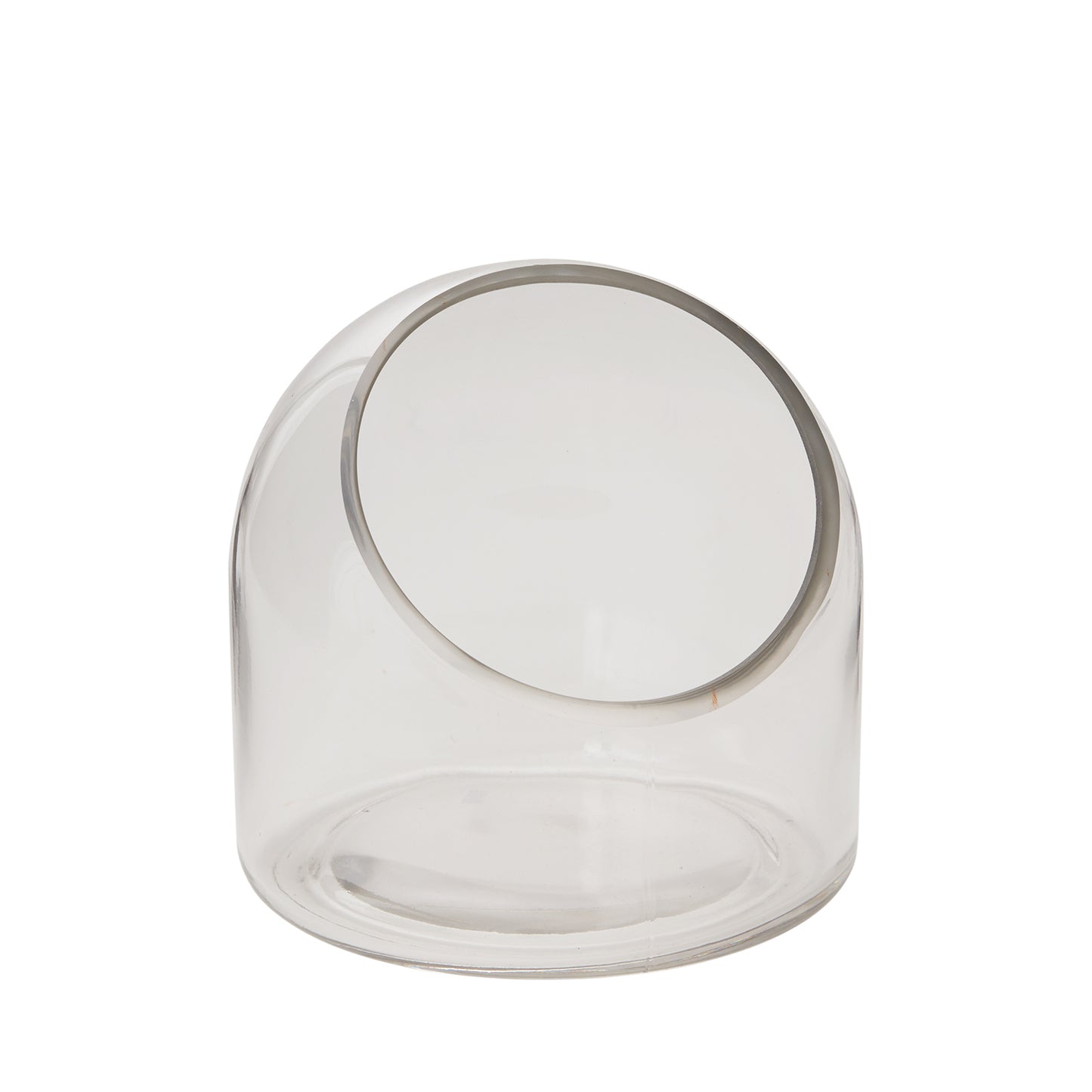 Warner Terrarium 5.75"x 5.75"