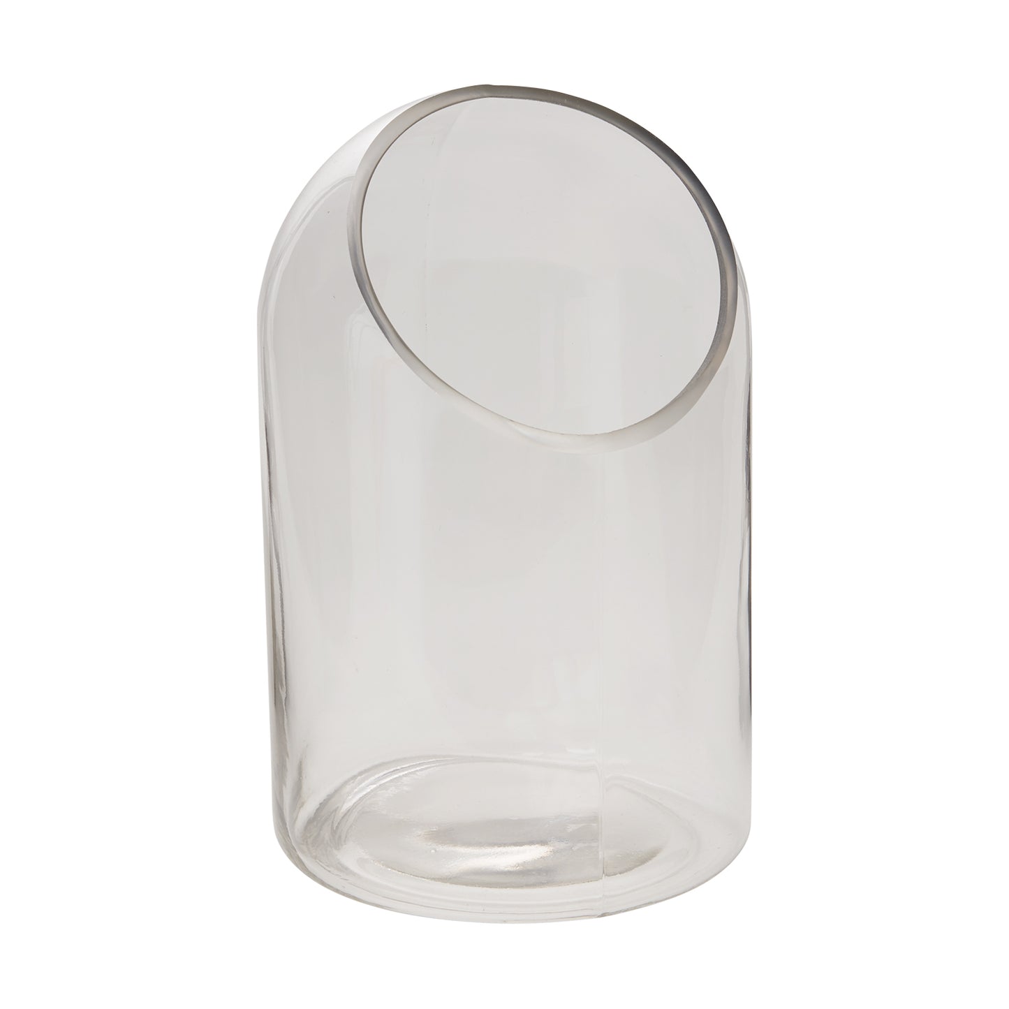 Warner Terrarium 5.75"x 9.25"