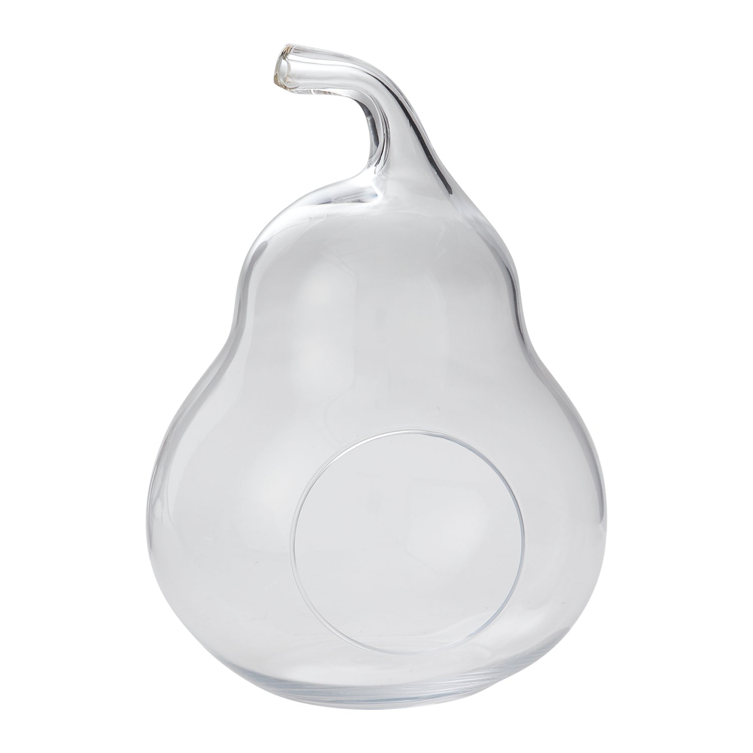 Pear Terrarium 7.25"x 10.25"
