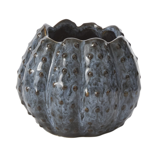 Futsu Pumpkin Vase 4.5"x3.75"