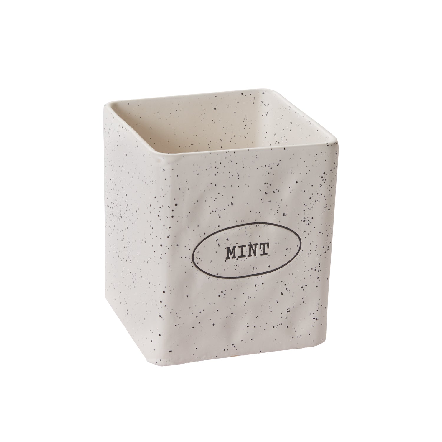 Aroma Mint Pot 4.75"