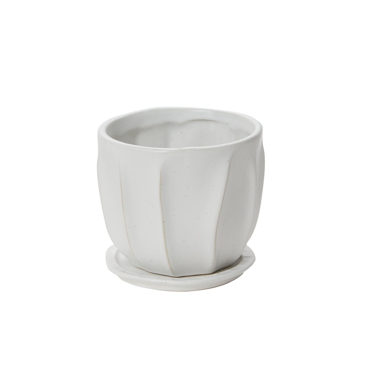 Draken Pot with Saucer 4.75"x 4.25"