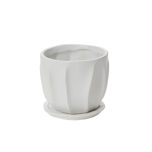 Draken Pot with Saucer 4.75"x 4.25"