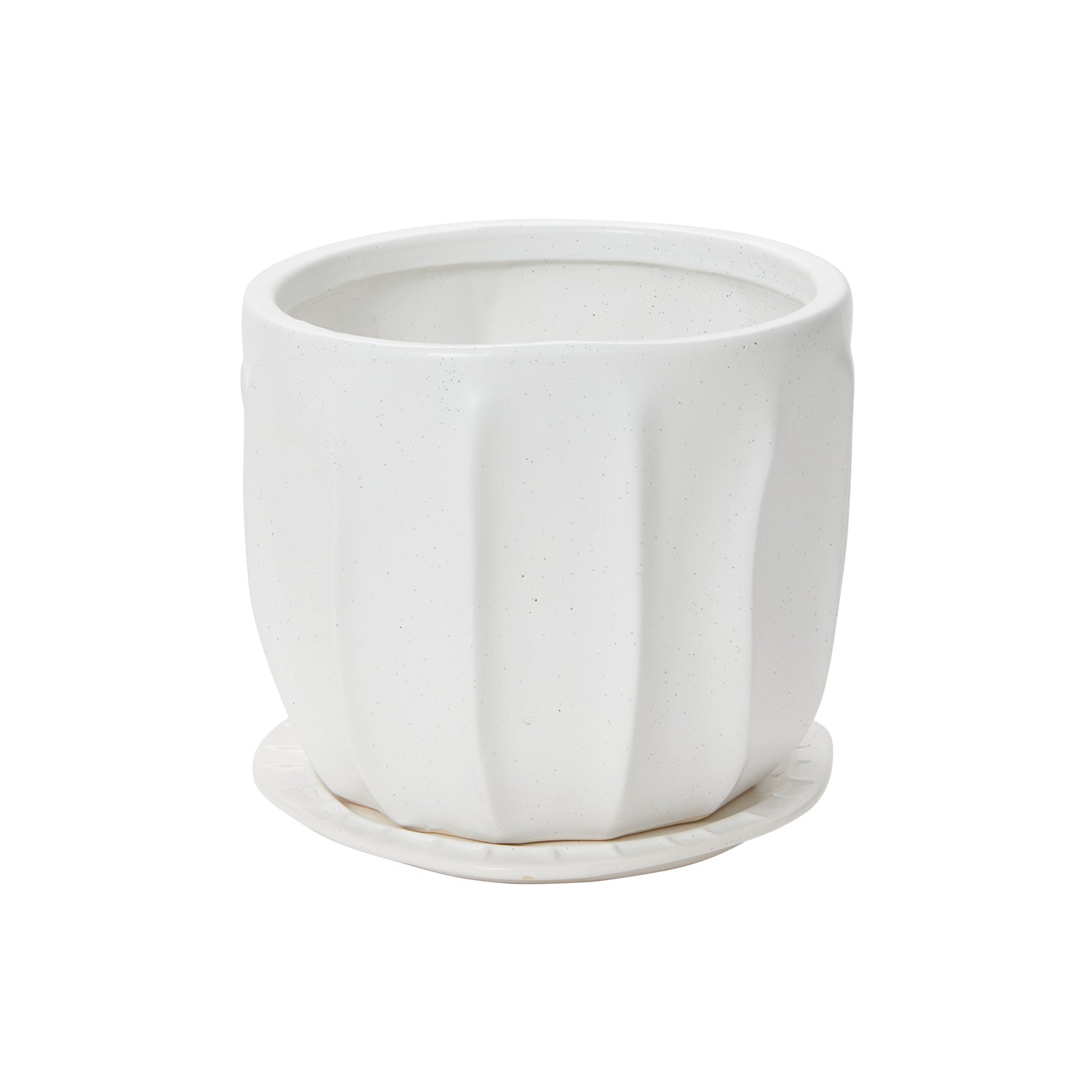 Draken Pot with Saucer 7.5"x 6.25"