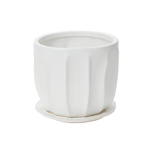 Draken Pot with Saucer 7.5"x 6.25"