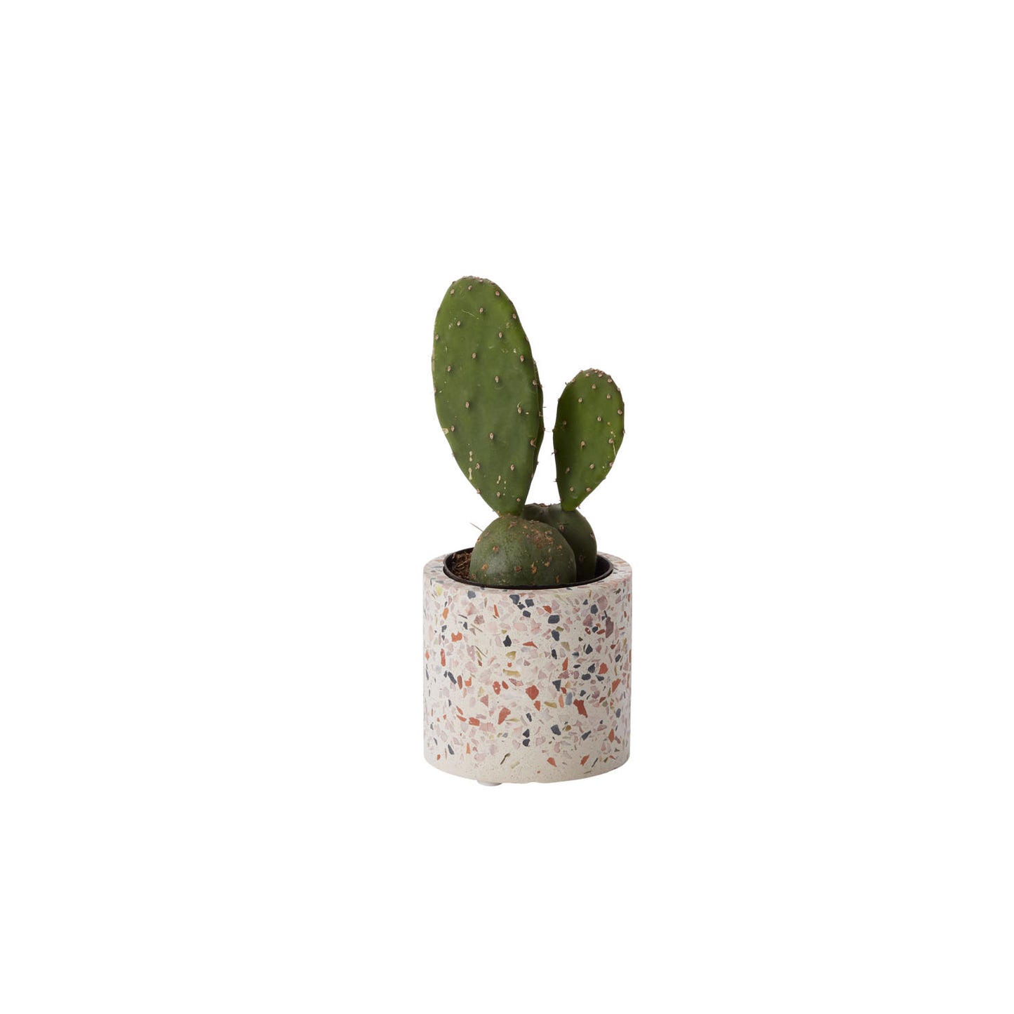 Terrazzo Pot 3"x 2.75"