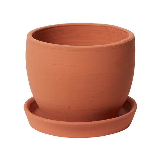 Baden Pot with Saucer 8.5"x 7.75"