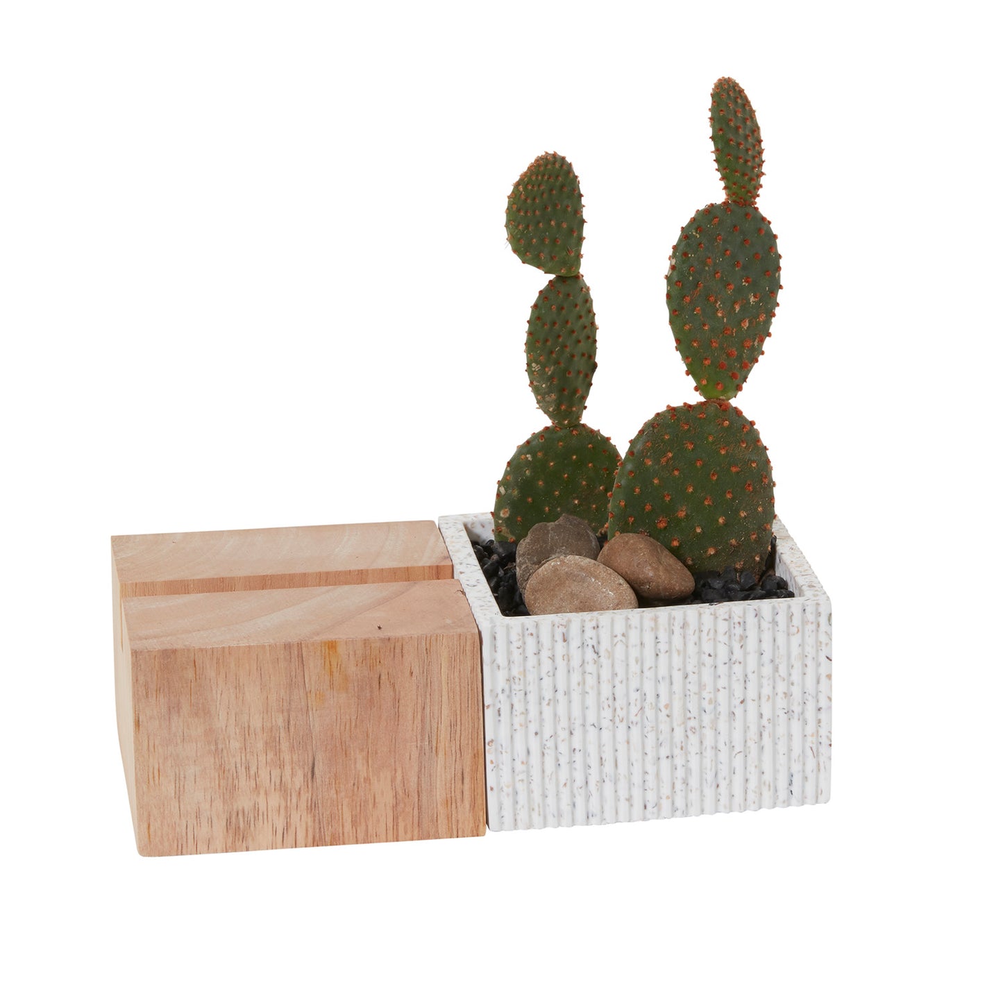 Aravalli Phone Stand Planter 8"x 4"x 2.5"