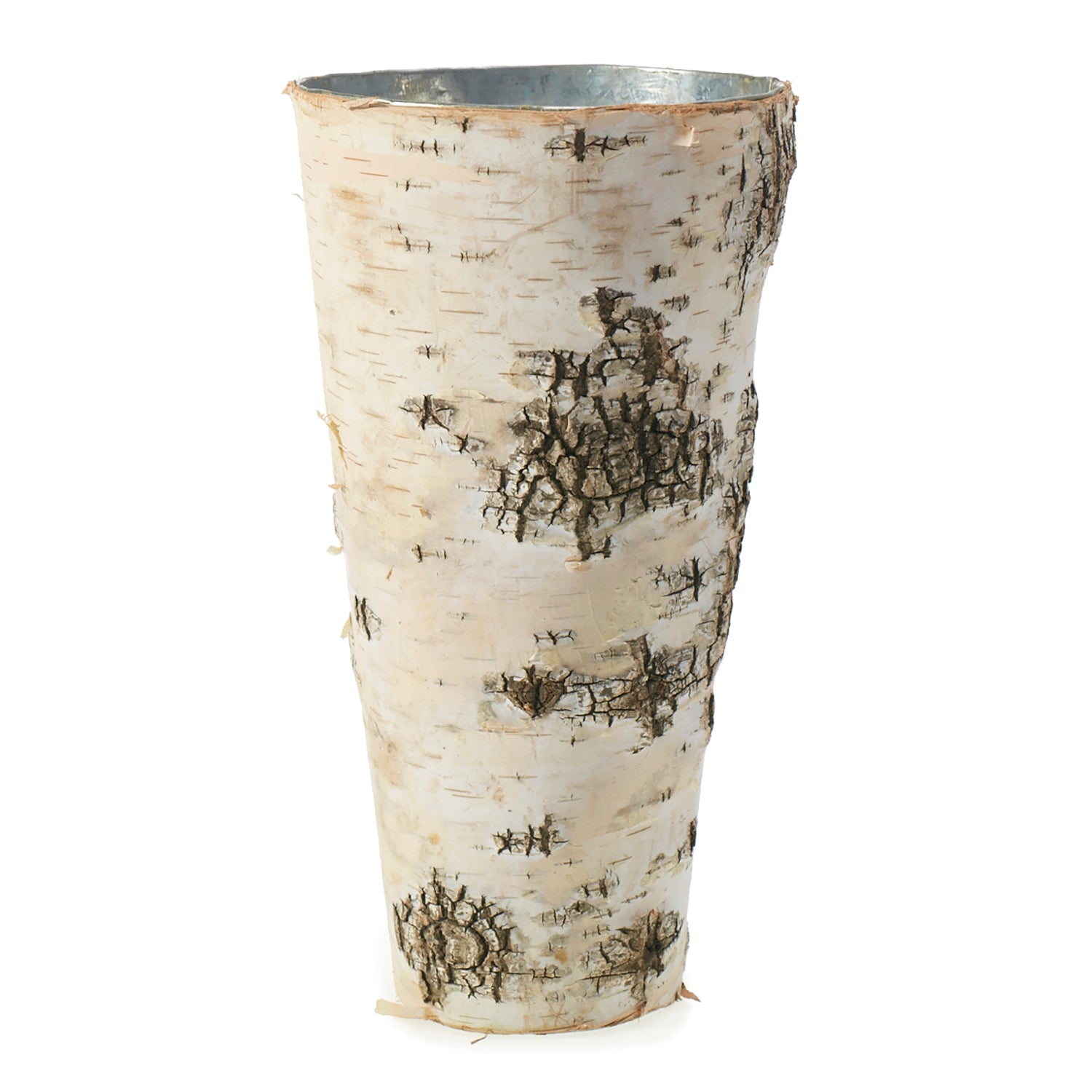 Birch Vase with Zinc 4.75"x 9"