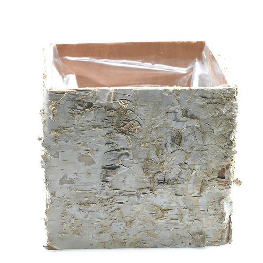 Birch Square Pot 4.75"x 4.75"