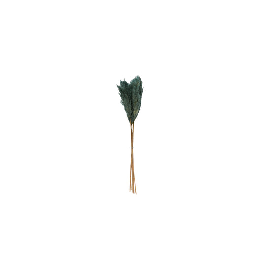 Pampas Grass Pack of 6 - 25.5"