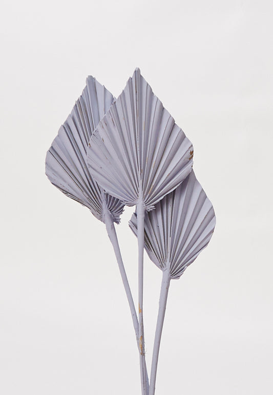 Painted Palm Spear 21.5"