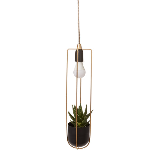 Kol Hanging Planter 4.25"x 21.25"