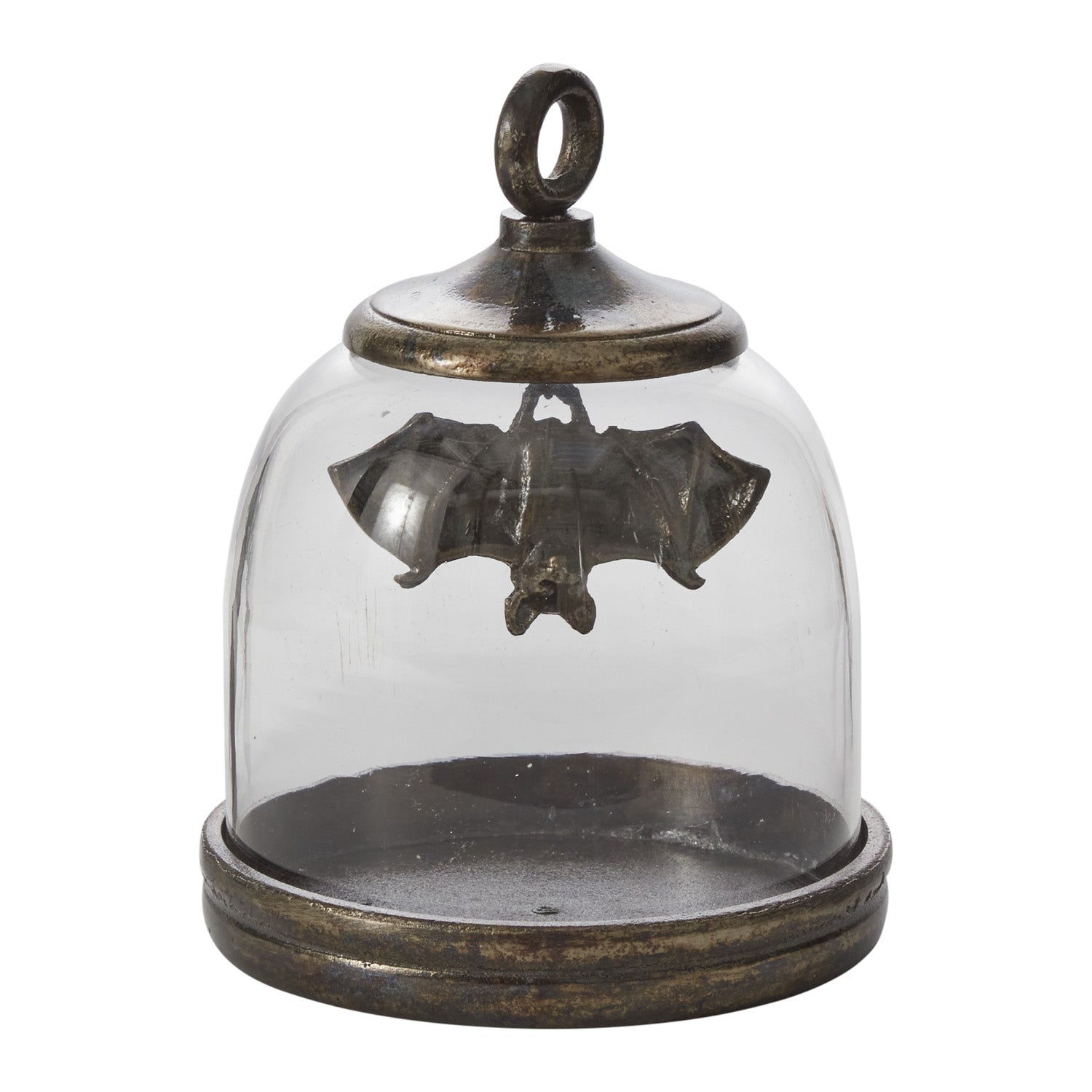 Bat Cave Cloche 6.5"x 8.25"