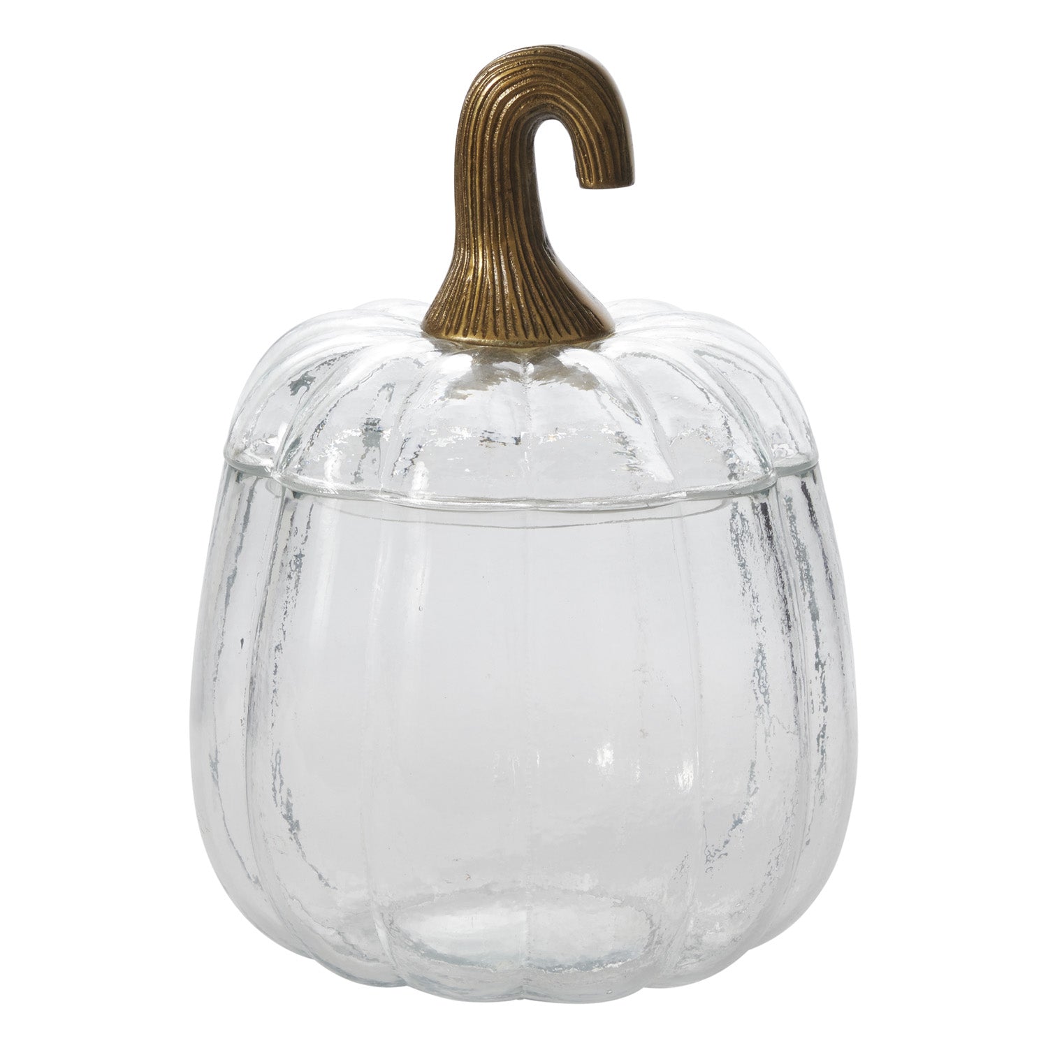 Translucent Pumpkin Terrarium 8.75"x 12.75"