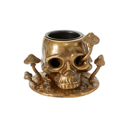 Cranium Pot 9.5"x 6.5"x 8"