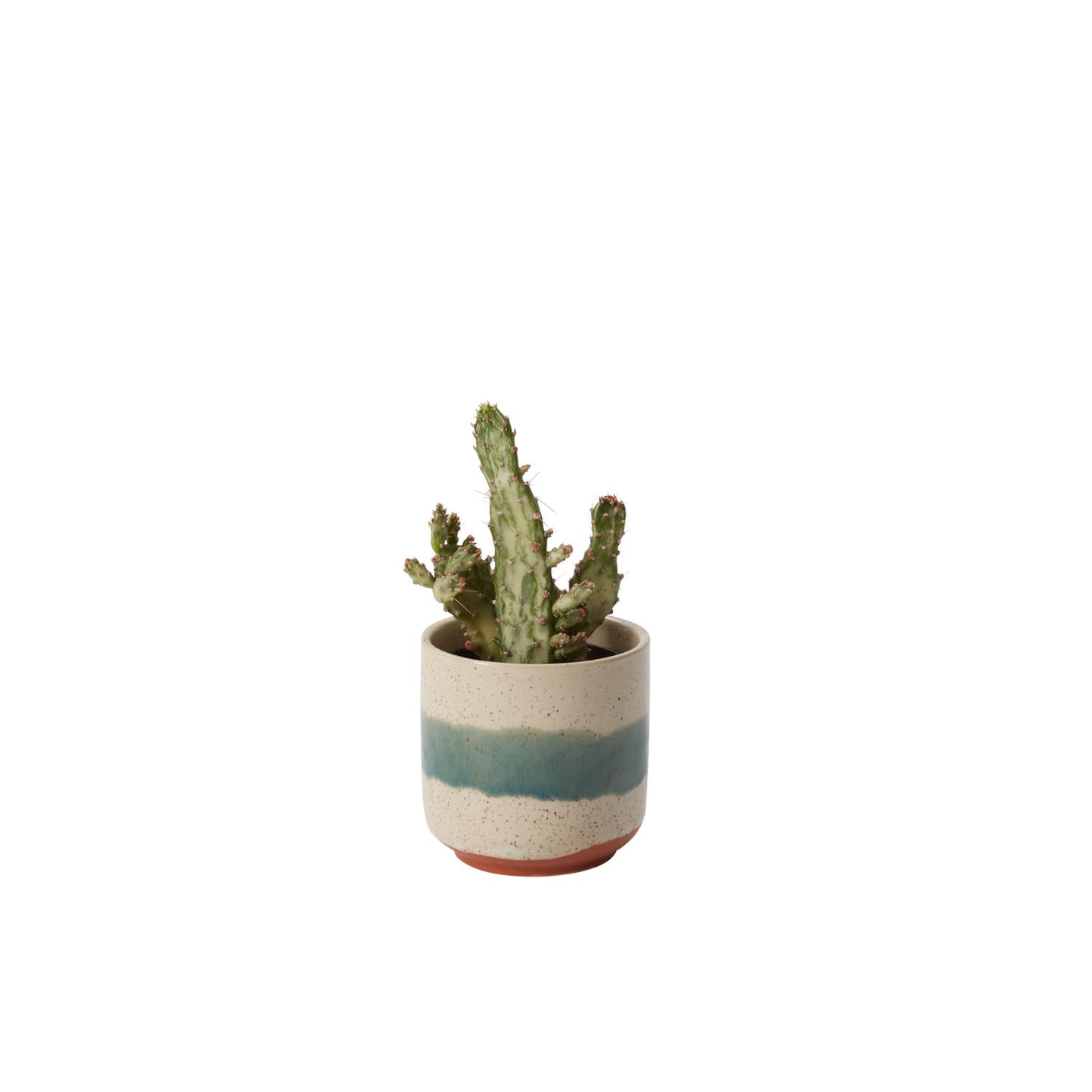 Mateo Pot 3"x 3"
