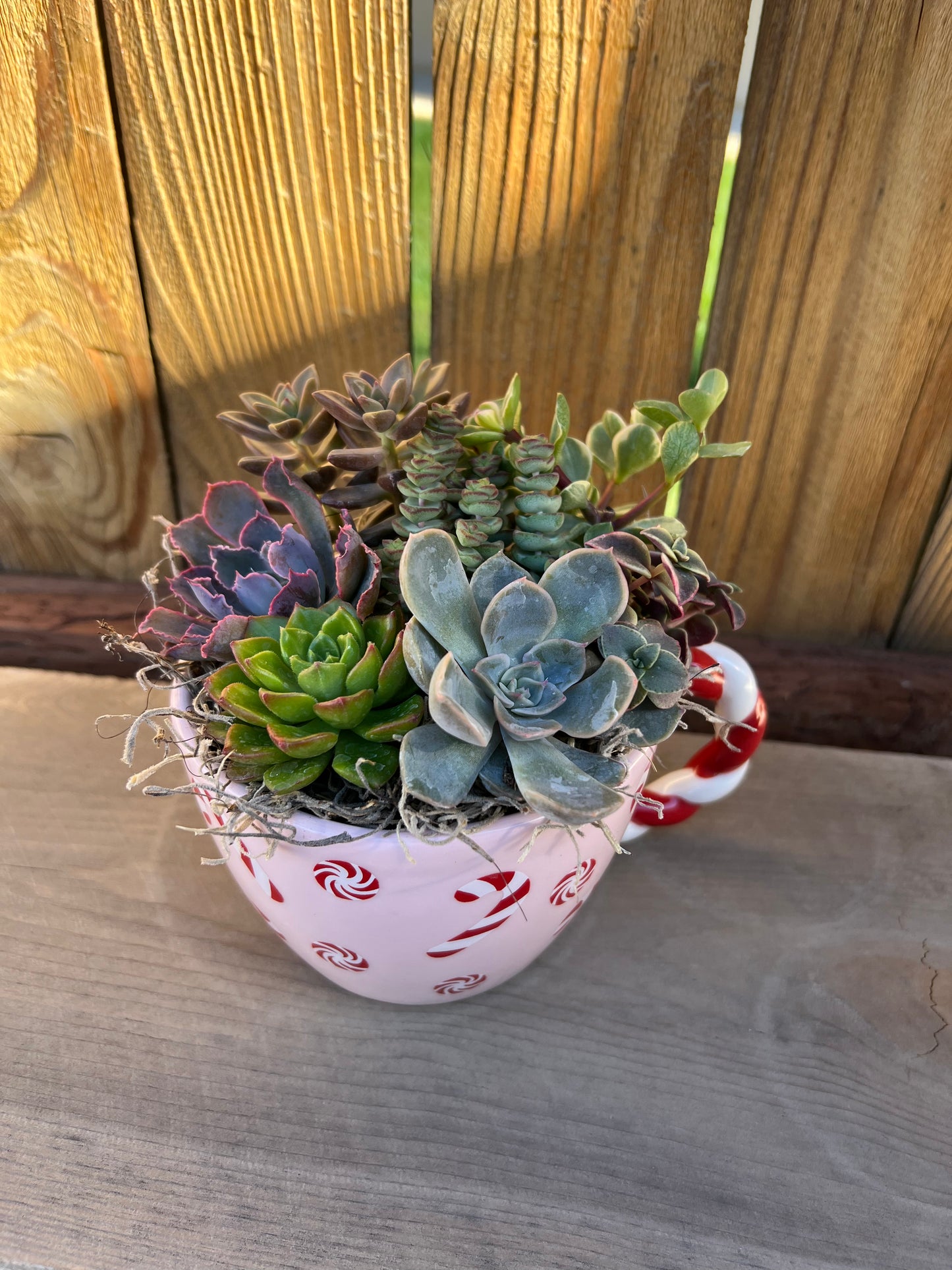 Pink peppermint Arrangements
