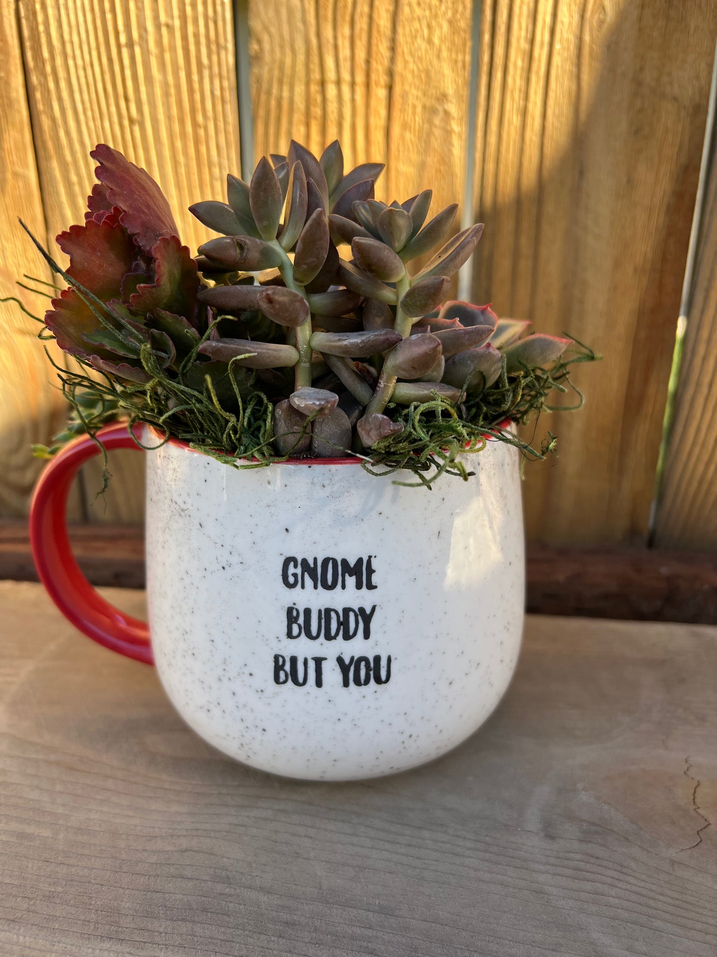 Gnome Buddy But You